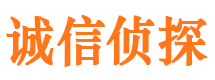 清水河侦探公司